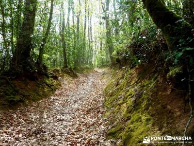 Cañones Ebro, Alto Campoo, Brañosera,Valderredible; volcanes en olot;monumentos naturales de astur